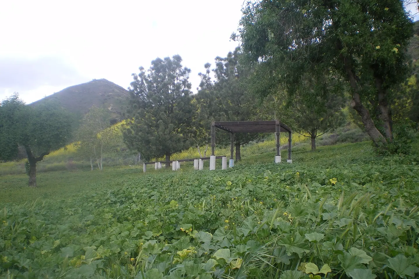 Foothills at the north end of Van Nuys Boulevard in Lake View Terrace