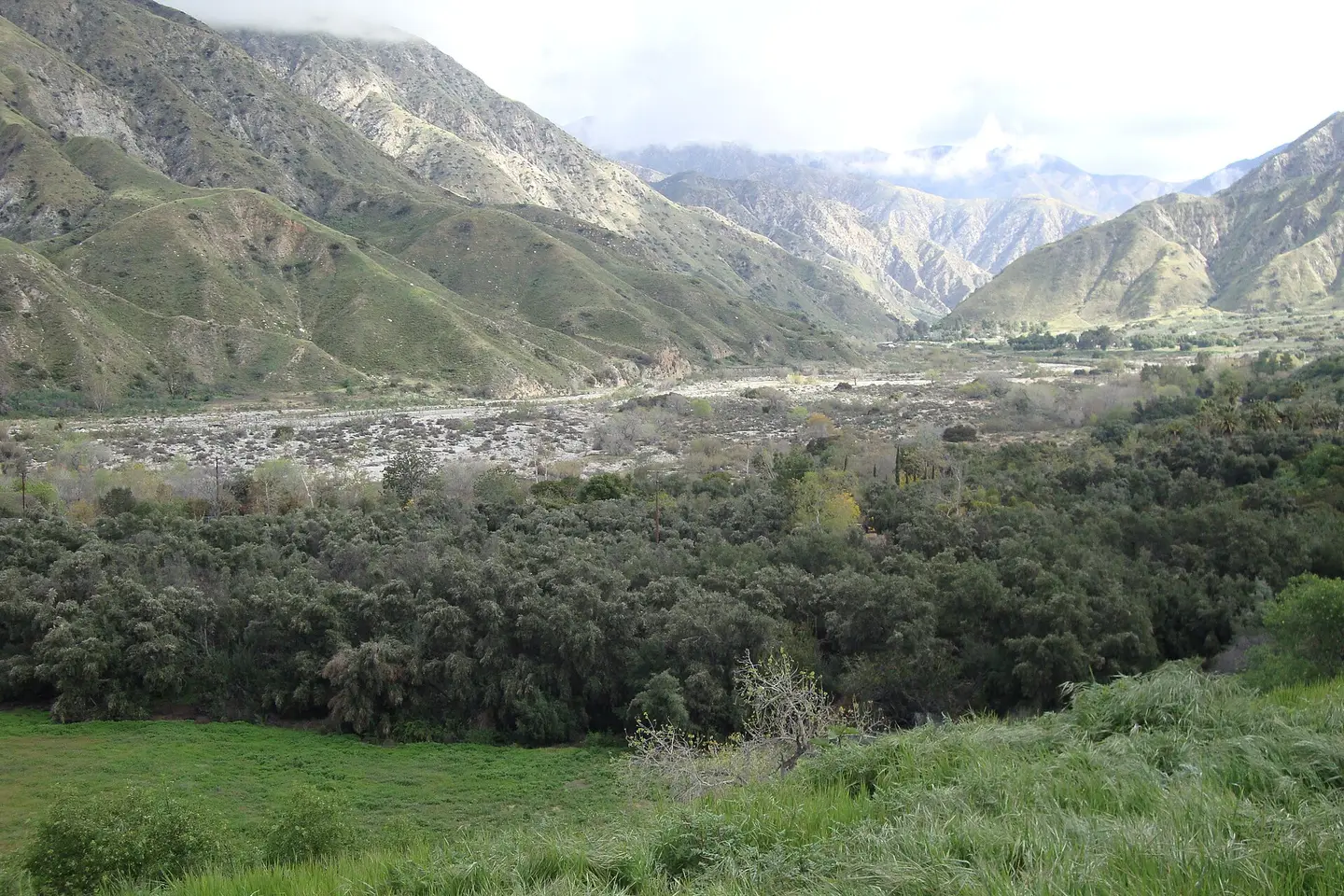Big Tujunga Wash and the San Gabriel Mountains near Tujunga